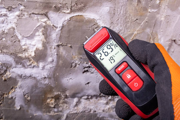 Best Affordable Mold Removal  in East Falmouth, MA