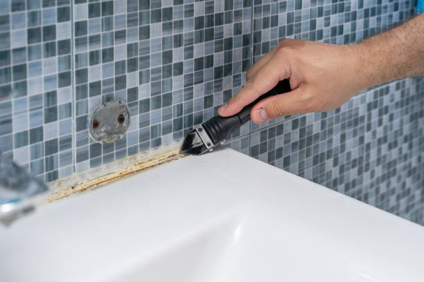 Best Mold Removal Process  in East Falmouth, MA